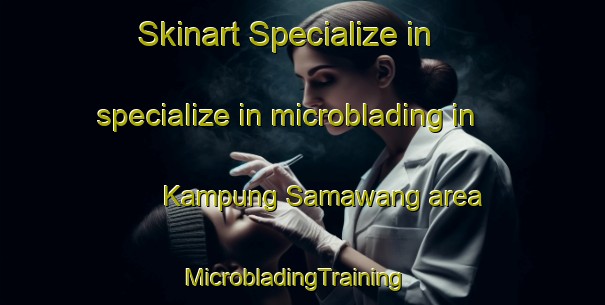 Skinart Specialize in specialize in microblading in Kampung Samawang area | MicrobladingTraining | MicrobladingClasses | SkinartTraining-Malaysia