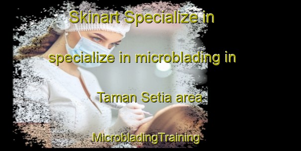 Skinart Specialize in specialize in microblading in Taman Setia area | MicrobladingTraining | MicrobladingClasses | SkinartTraining-Malaysia