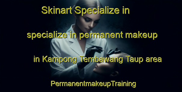 Skinart Specialize in specialize in permanent makeup in Kampong Tembawang Taup area | PermanentmakeupTraining | PermanentmakeupClasses | SkinartTraining-Malaysia