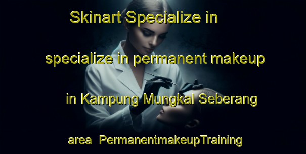Skinart Specialize in specialize in permanent makeup in Kampung Mungkal Seberang area | PermanentmakeupTraining | PermanentmakeupClasses | SkinartTraining-Malaysia