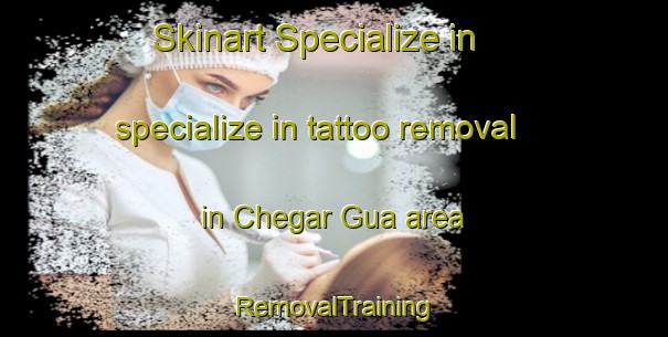 Skinart Specialize in specialize in tattoo removal in Chegar Gua area | RemovalTraining | RemovalClasses | SkinartTraining-Malaysia