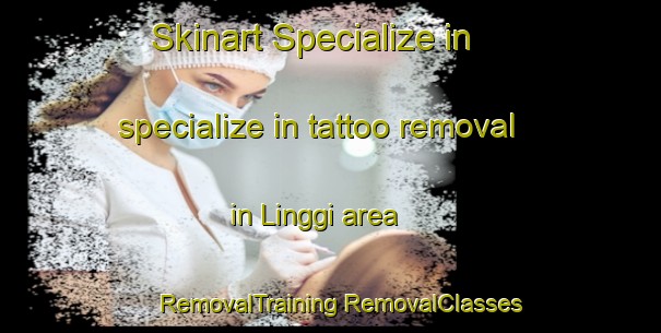 Skinart Specialize in specialize in tattoo removal in Linggi area | #RemovalTraining #RemovalClasses #SkinartTraining-Malaysia