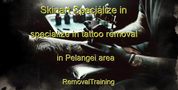 Skinart Specialize in specialize in tattoo removal in Pelangei area | RemovalTraining | RemovalClasses | SkinartTraining-Malaysia