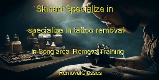 Skinart Specialize in specialize in tattoo removal in Song area | RemovalTraining | RemovalClasses | SkinartTraining-Malaysia