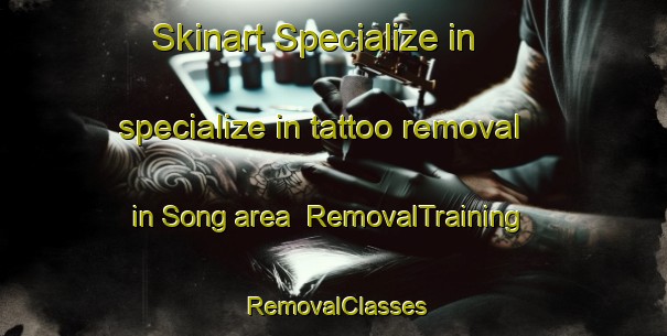 Skinart Specialize in specialize in tattoo removal in Song area | RemovalTraining | RemovalClasses | SkinartTraining-Malaysia