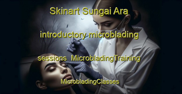 Skinart Sungai Ara introductory microblading sessions | MicrobladingTraining | MicrobladingClasses | SkinartTraining-Malaysia