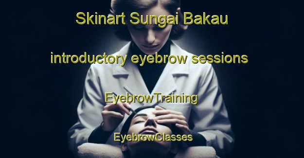 Skinart Sungai Bakau introductory eyebrow sessions | EyebrowTraining | EyebrowClasses | SkinartTraining-Malaysia