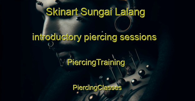 Skinart Sungai Lalang introductory piercing sessions | #PiercingTraining #PiercingClasses #SkinartTraining-Malaysia