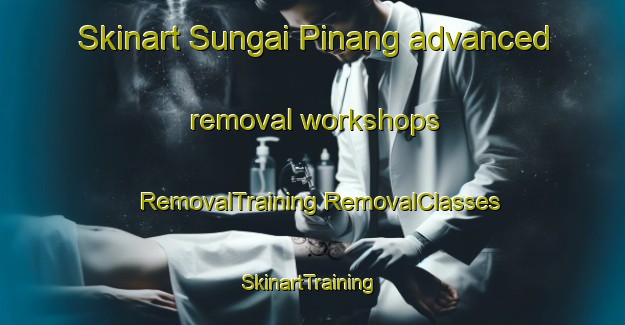 Skinart Sungai Pinang advanced removal workshops | #RemovalTraining #RemovalClasses #SkinartTraining-Malaysia