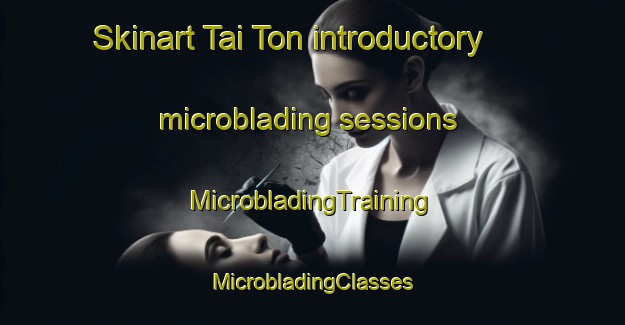 Skinart Tai Ton introductory microblading sessions | #MicrobladingTraining #MicrobladingClasses #SkinartTraining-Malaysia