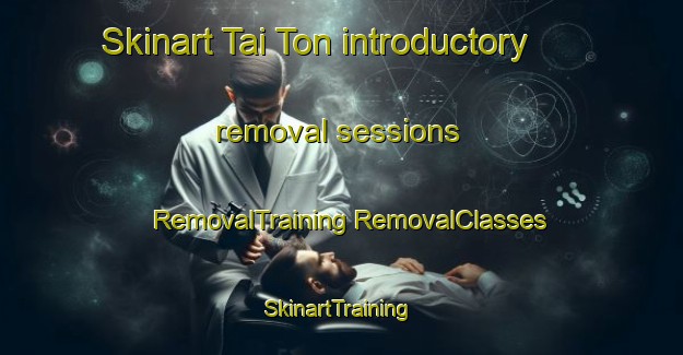 Skinart Tai Ton introductory removal sessions | #RemovalTraining #RemovalClasses #SkinartTraining-Malaysia