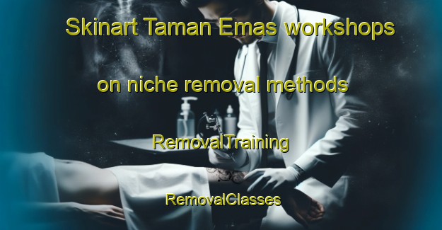 Skinart Taman Emas workshops on niche removal methods | RemovalTraining | RemovalClasses | SkinartTraining-Malaysia