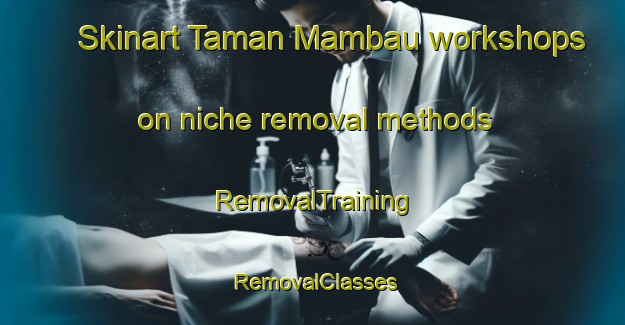 Skinart Taman Mambau workshops on niche removal methods | RemovalTraining | RemovalClasses | SkinartTraining-Malaysia