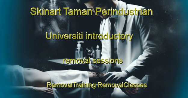 Skinart Taman Perindustrian Universiti introductory removal sessions | #RemovalTraining #RemovalClasses #SkinartTraining-Malaysia