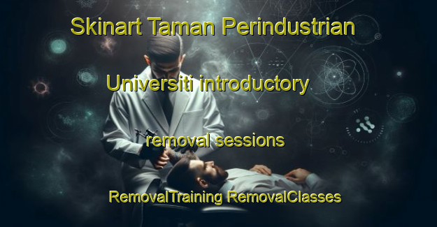 Skinart Taman Perindustrian Universiti introductory removal sessions | #RemovalTraining #RemovalClasses #SkinartTraining-Malaysia