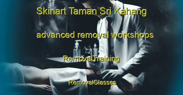 Skinart Taman Sri Kahang advanced removal workshops | RemovalTraining | RemovalClasses | SkinartTraining-Malaysia