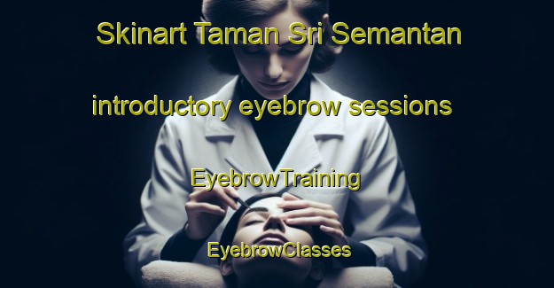 Skinart Taman Sri Semantan introductory eyebrow sessions | EyebrowTraining | EyebrowClasses | SkinartTraining-Malaysia