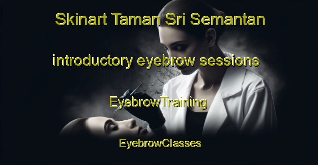 Skinart Taman Sri Semantan introductory eyebrow sessions | EyebrowTraining | EyebrowClasses | SkinartTraining-Malaysia