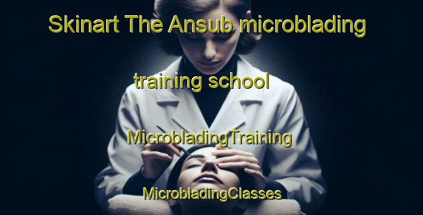 Skinart The Ansub microblading training school | #MicrobladingTraining #MicrobladingClasses #SkinartTraining-Malaysia