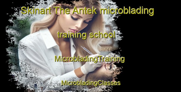 Skinart The Antek microblading training school | #MicrobladingTraining #MicrobladingClasses #SkinartTraining-Malaysia