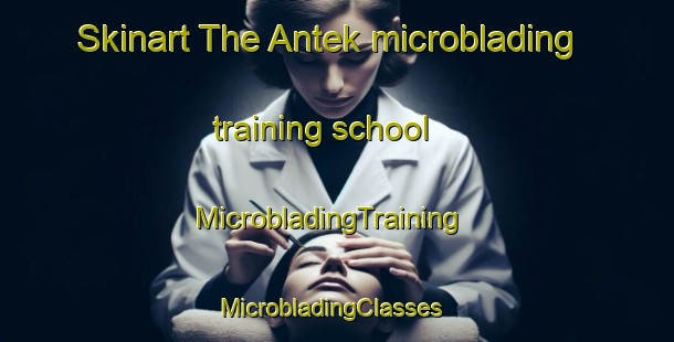 Skinart The Antek microblading training school | MicrobladingTraining | MicrobladingClasses | SkinartTraining-Malaysia