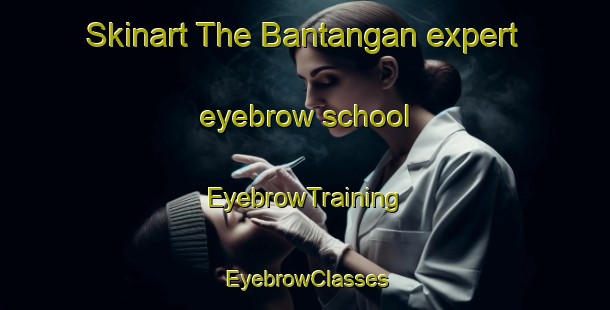 Skinart The Bantangan expert eyebrow school | EyebrowTraining | EyebrowClasses | SkinartTraining-Malaysia