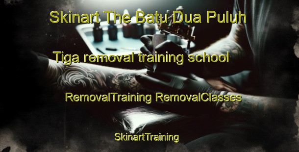 Skinart The Batu Dua Puluh Tiga removal training school | #RemovalTraining #RemovalClasses #SkinartTraining-Malaysia