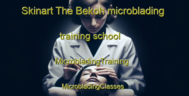 Skinart The Bekoh microblading training school | MicrobladingTraining | MicrobladingClasses | SkinartTraining-Malaysia