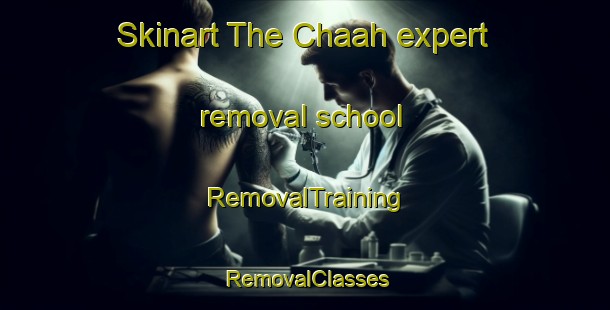 Skinart The Chaah expert removal school | RemovalTraining | RemovalClasses | SkinartTraining-Malaysia