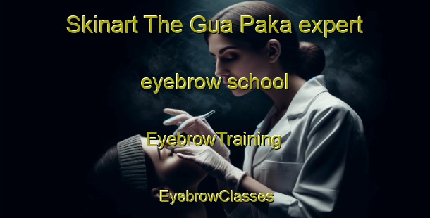 Skinart The Gua Paka expert eyebrow school | EyebrowTraining | EyebrowClasses | SkinartTraining-Malaysia