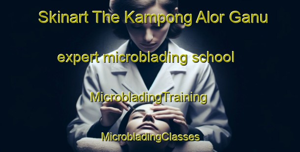 Skinart The Kampong Alor Ganu expert microblading school | #MicrobladingTraining #MicrobladingClasses #SkinartTraining-Malaysia