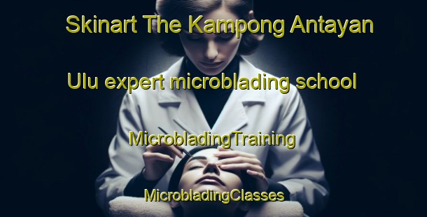 Skinart The Kampong Antayan Ulu expert microblading school | #MicrobladingTraining #MicrobladingClasses #SkinartTraining-Malaysia