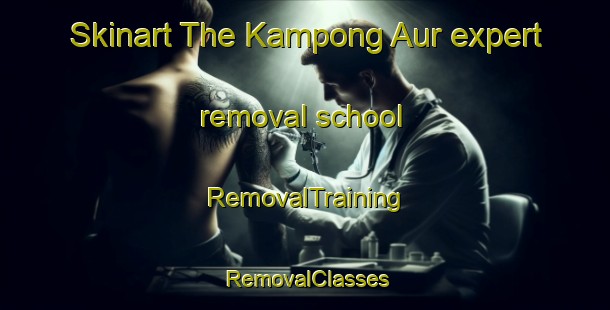 Skinart The Kampong Aur expert removal school | RemovalTraining | RemovalClasses | SkinartTraining-Malaysia