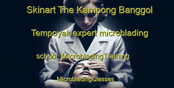 Skinart The Kampong Banggol Tempoyak expert microblading school | MicrobladingTraining | MicrobladingClasses | SkinartTraining-Malaysia