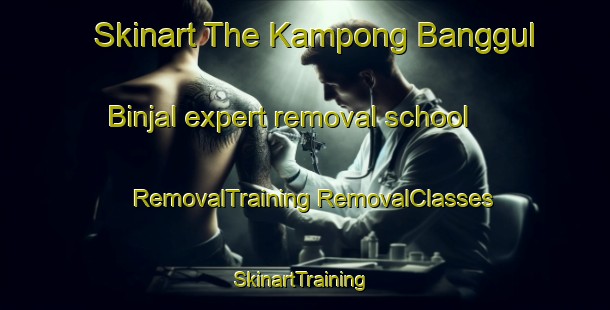 Skinart The Kampong Banggul Binjal expert removal school | #RemovalTraining #RemovalClasses #SkinartTraining-Malaysia