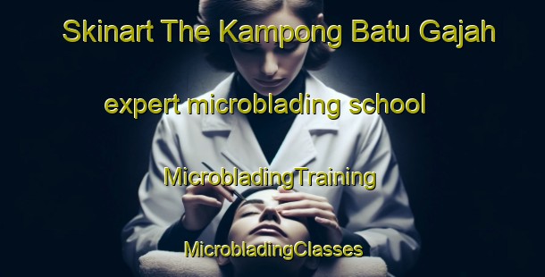 Skinart The Kampong Batu Gajah expert microblading school | #MicrobladingTraining #MicrobladingClasses #SkinartTraining-Malaysia