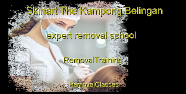 Skinart The Kampong Belingan expert removal school | RemovalTraining | RemovalClasses | SkinartTraining-Malaysia