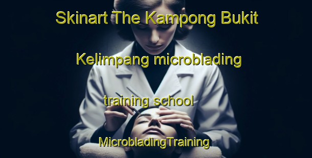 Skinart The Kampong Bukit Kelimpang microblading training school | #MicrobladingTraining #MicrobladingClasses #SkinartTraining-Malaysia