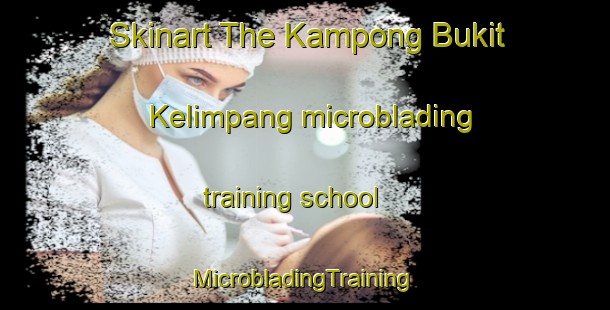 Skinart The Kampong Bukit Kelimpang microblading training school | #MicrobladingTraining #MicrobladingClasses #SkinartTraining-Malaysia