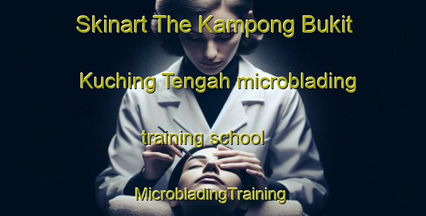 Skinart The Kampong Bukit Kuching Tengah microblading training school | #MicrobladingTraining #MicrobladingClasses #SkinartTraining-Malaysia