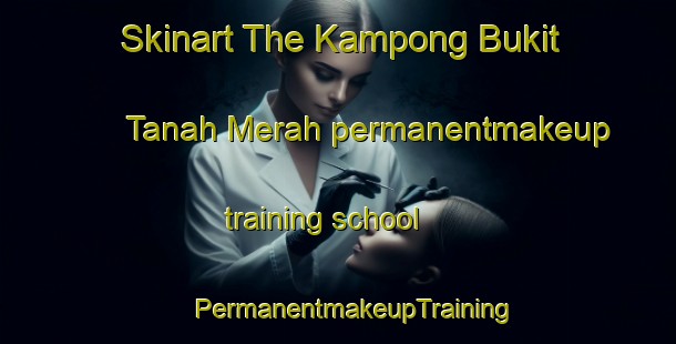 Skinart The Kampong Bukit Tanah Merah permanentmakeup training school | #PermanentmakeupTraining #PermanentmakeupClasses #SkinartTraining-Malaysia