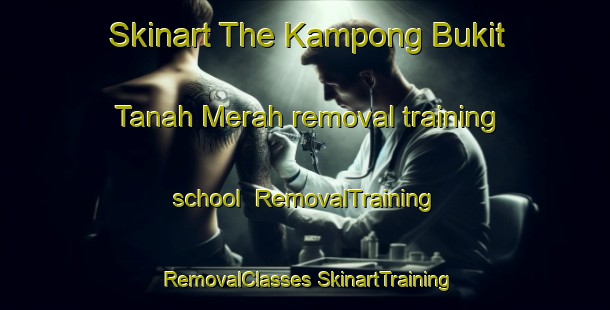 Skinart The Kampong Bukit Tanah Merah removal training school | #RemovalTraining #RemovalClasses #SkinartTraining-Malaysia