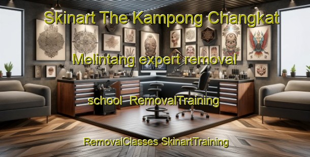 Skinart The Kampong Changkat Melintang expert removal school | #RemovalTraining #RemovalClasses #SkinartTraining-Malaysia