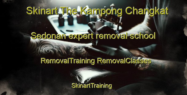 Skinart The Kampong Changkat Sedonan expert removal school | #RemovalTraining #RemovalClasses #SkinartTraining-Malaysia