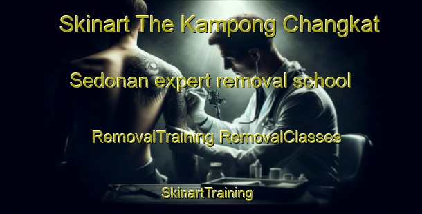 Skinart The Kampong Changkat Sedonan expert removal school | #RemovalTraining #RemovalClasses #SkinartTraining-Malaysia