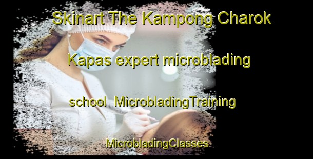 Skinart The Kampong Charok Kapas expert microblading school | #MicrobladingTraining #MicrobladingClasses #SkinartTraining-Malaysia