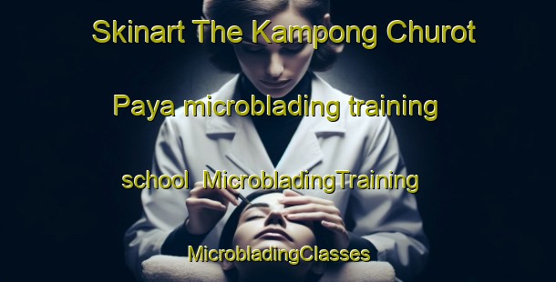 Skinart The Kampong Churot Paya microblading training school | #MicrobladingTraining #MicrobladingClasses #SkinartTraining-Malaysia