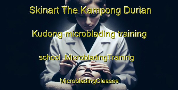 Skinart The Kampong Durian Kudong microblading training school | #MicrobladingTraining #MicrobladingClasses #SkinartTraining-Malaysia