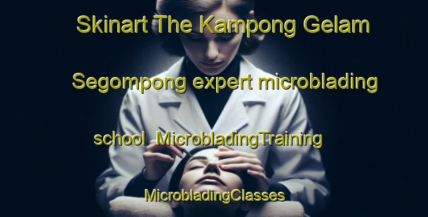 Skinart The Kampong Gelam Segompong expert microblading school | #MicrobladingTraining #MicrobladingClasses #SkinartTraining-Malaysia