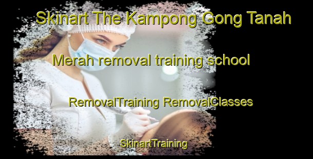 Skinart The Kampong Gong Tanah Merah removal training school | #RemovalTraining #RemovalClasses #SkinartTraining-Malaysia